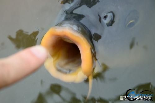 㣺㻹ߺܶ·-3.jpg
