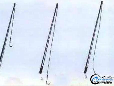 ǿ֪ܲĵСܣָ͵ߵĳ-1.jpg