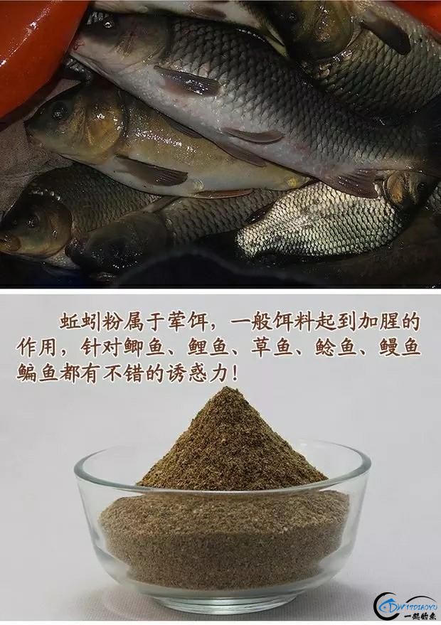 㣬ڶԻĴЧ-3.jpg