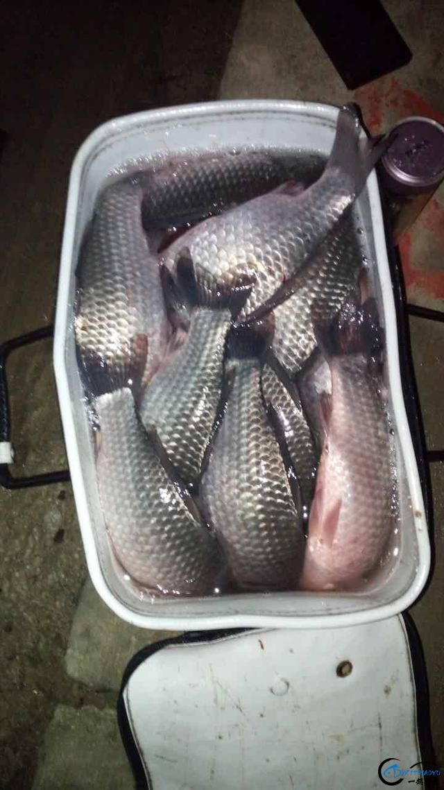㣬ڶԻĴЧ-4.jpg