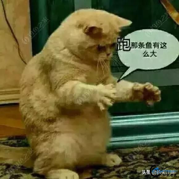 ΪڵĵˣЩһùһ-13.jpg