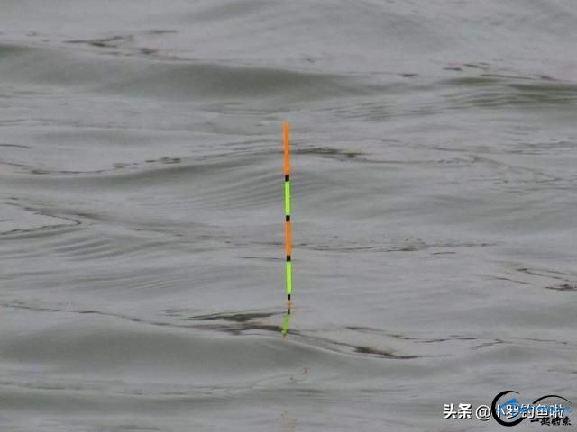 ʣȵ4㣬ѣ-5.jpg