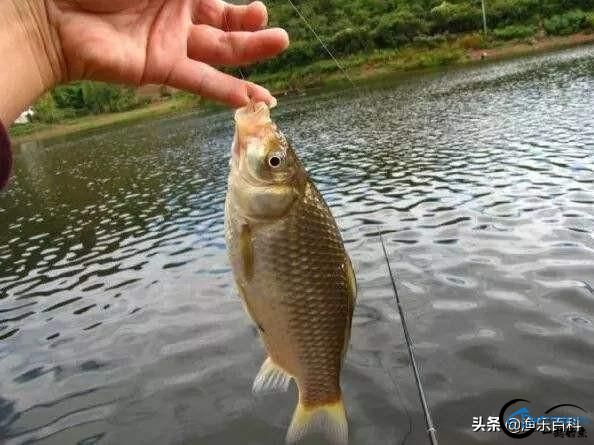 Ϊ÷꼾ڲõ㣬ʵҪԭʲôأ-5.jpg
