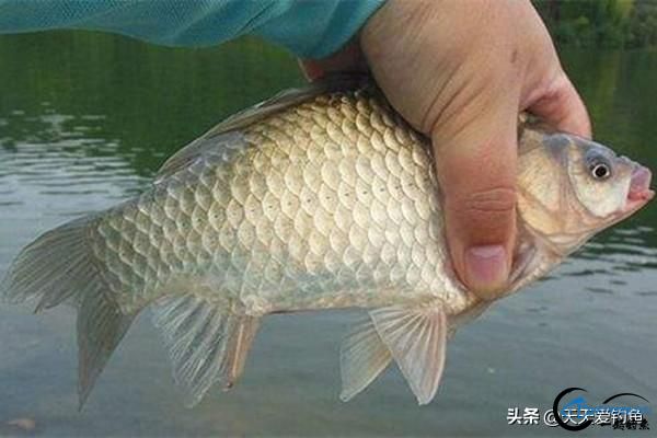 㣬ӲβƯβƯôѡ-1.jpg