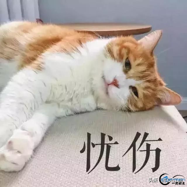 ӻߵˡ-2.jpg