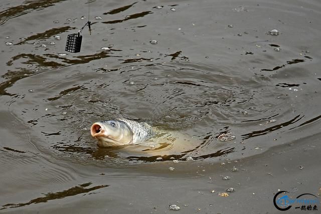 ڵѵ˺ö㣬ûУҪˡ-1.jpg