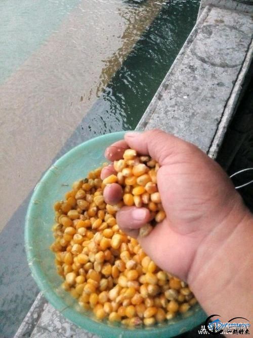 нʮƣеʮУʮод˵У-15.jpg