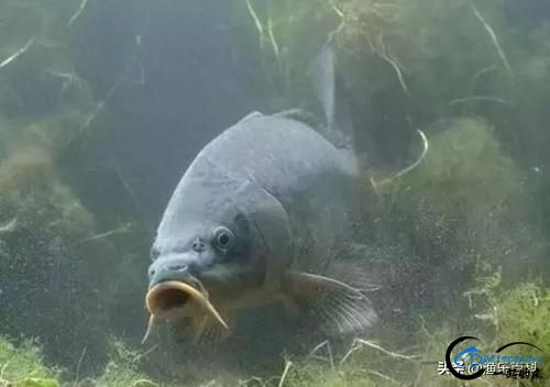 нʮƣеʮУʮод˵У-8.jpg