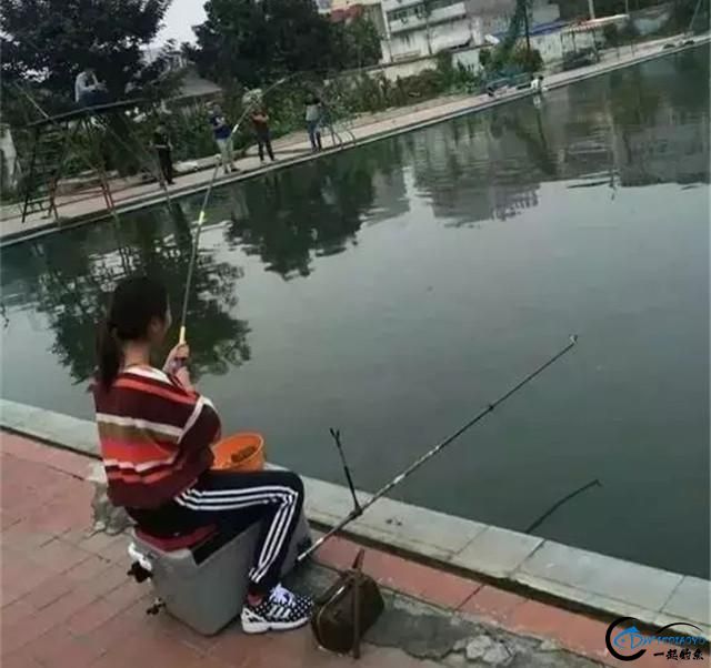 Щƣ˵ʲô-3.jpg