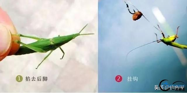 Ұ10ֻͺ棬㻹ù٣-3.jpg
