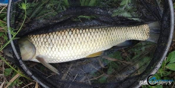 㣺Ž㵽-7.jpg