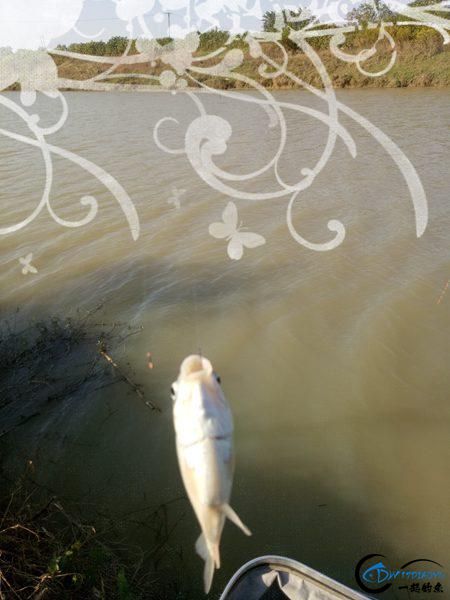 Ұܿ˵ĵֻв᷽ܽк-9.jpg