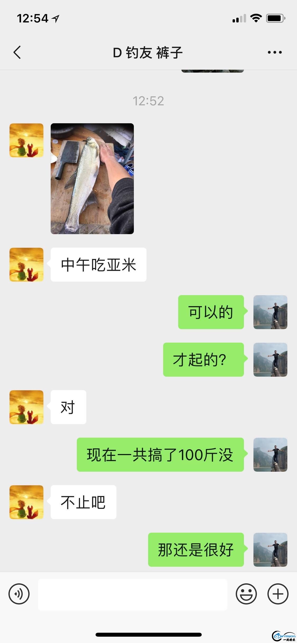 1550139012912185146.jpg