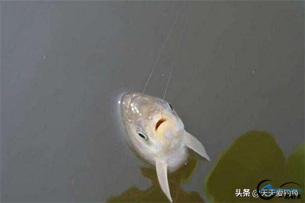 紺꣬44϶-5.jpg