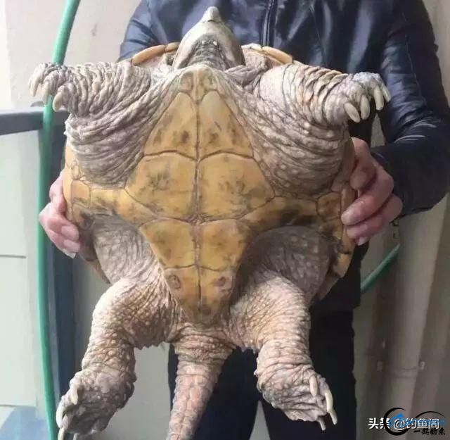 һ֣ú޷㣬ر̰ԣҰϱŹ-1.jpg