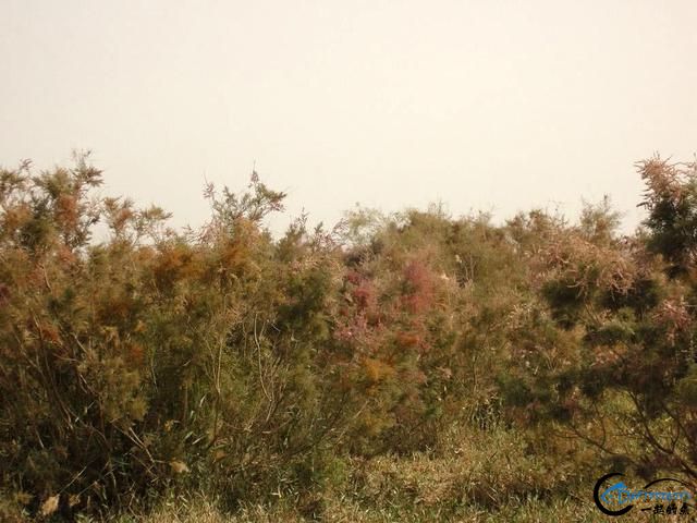 ãľӵ㣬㼫-14.jpg