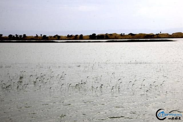 ãľӵ㣬㼫-26.jpg