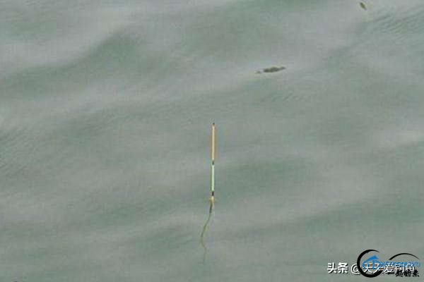 ڵƯ-2.jpg