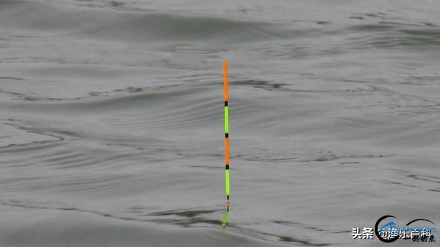 Ưʲôʱ飬ʲôʱۣ֮ˣ-1.jpg