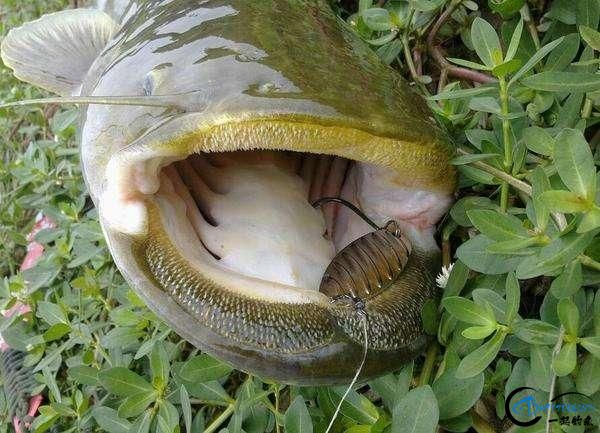 ٵѶϲ㣬ôʲôϵ㣬Чأ-1.jpg