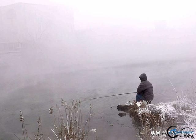 ֵѶ㣬⼸ľҪԶ-1.jpg