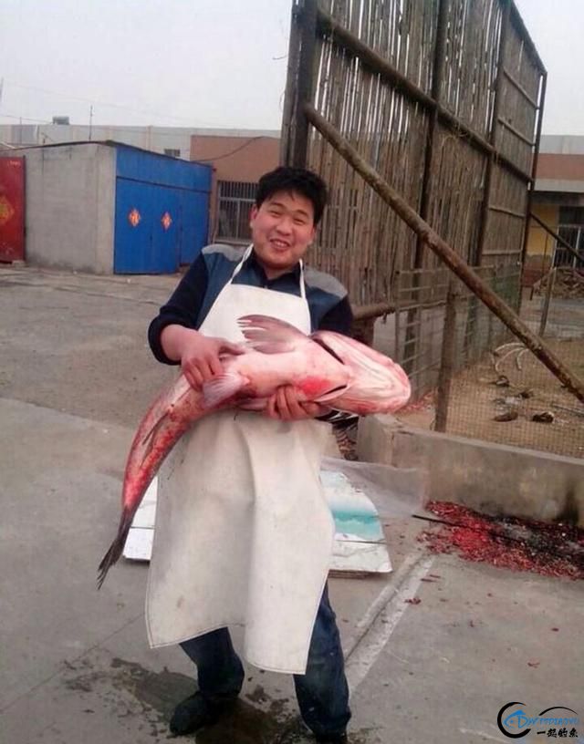 λˣĻж-7.jpg