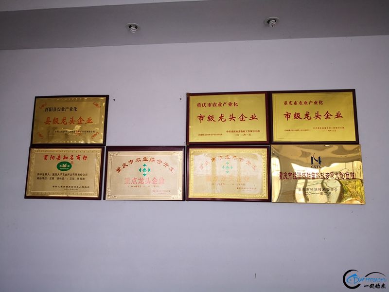 d9225c54dd653624f65aa1a457ccc74d_800_600 (1).jpg