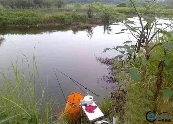 ŵ㣬Щ׼ٵæ-6.jpg