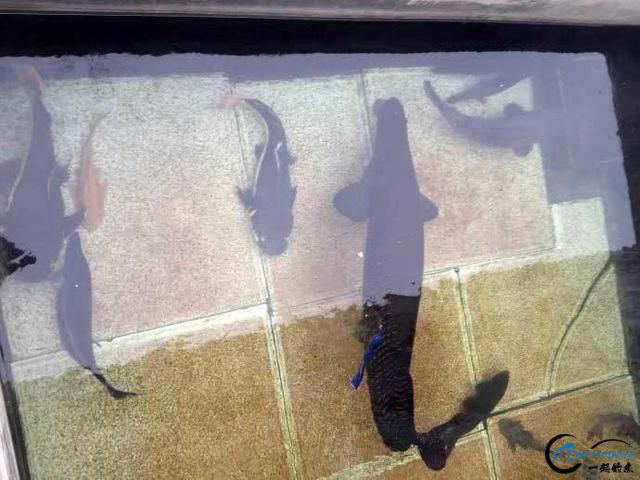 ѷĵˮ֮Ϊʲôֱɵ-18.jpg