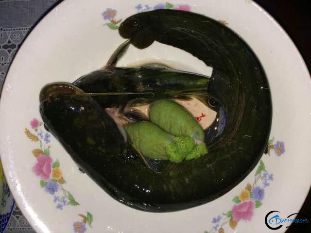 ˵ĵãи-4.jpg
