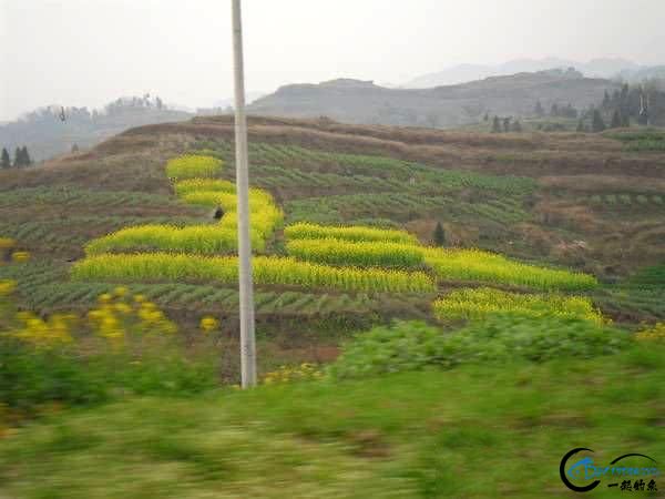 ˵ĵãи-1.jpg
