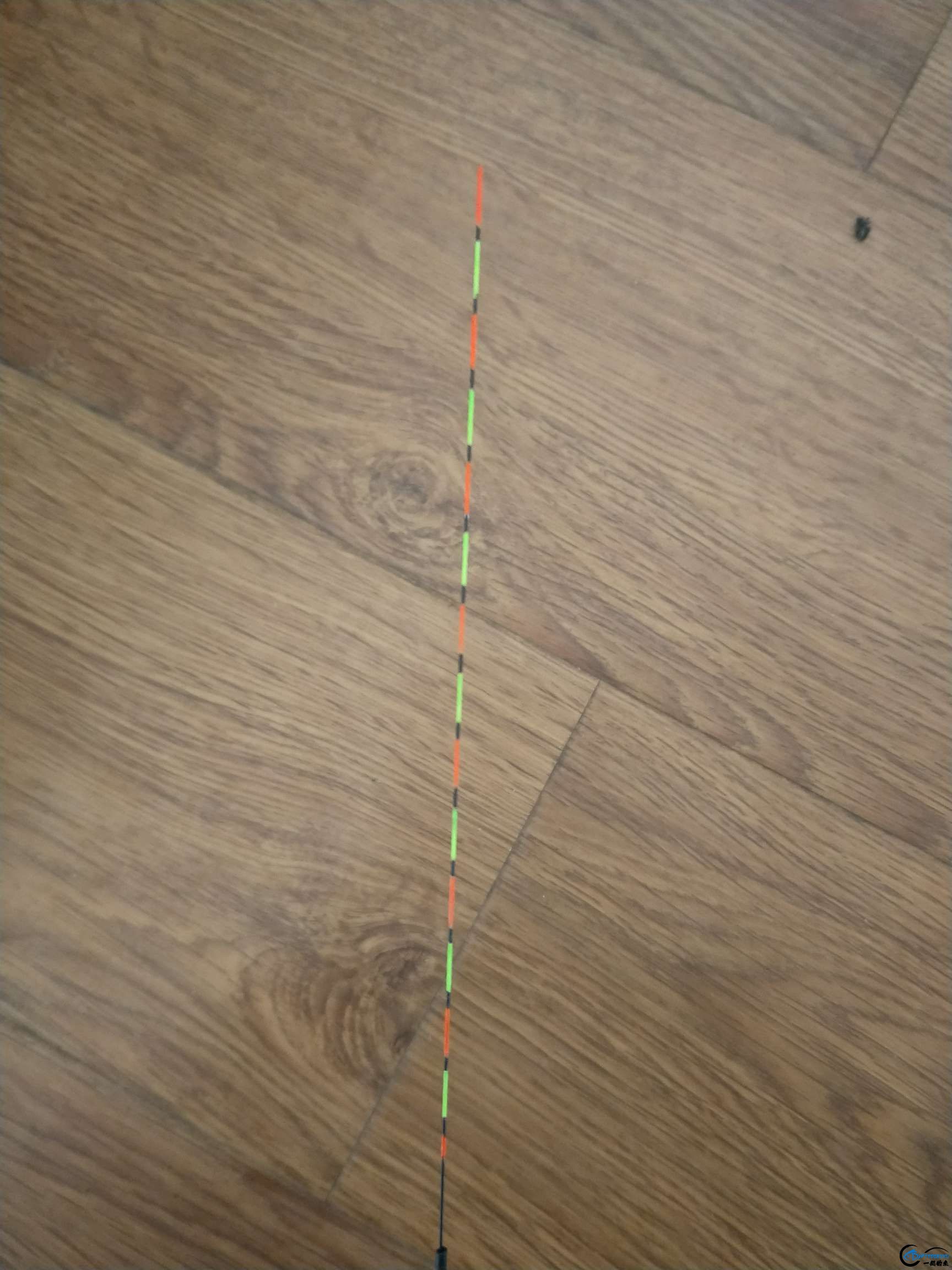 1552888763654240_635.jpg