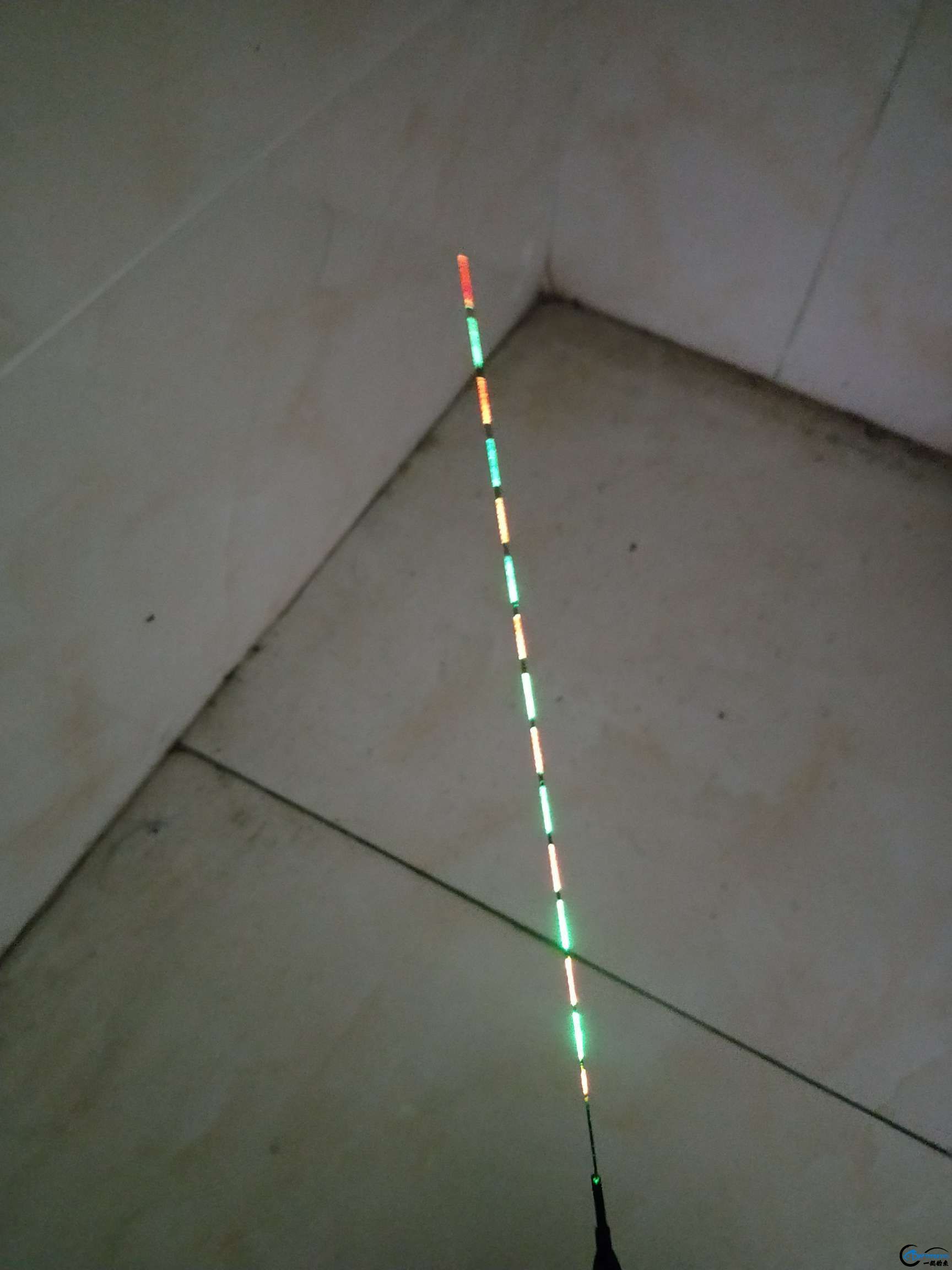 1552888763658557_988.jpg