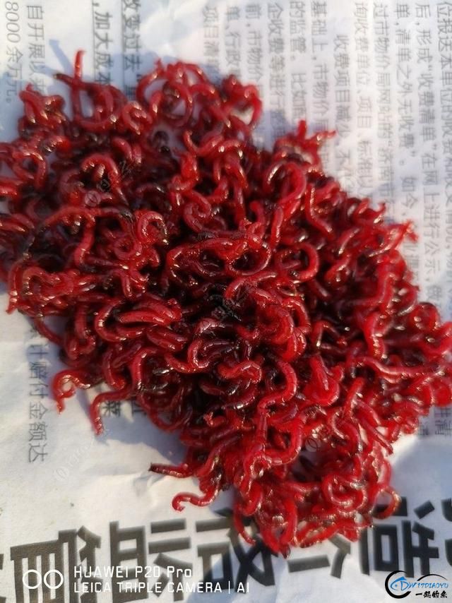 㣬⼸㱬Ĺؼ-2.jpg