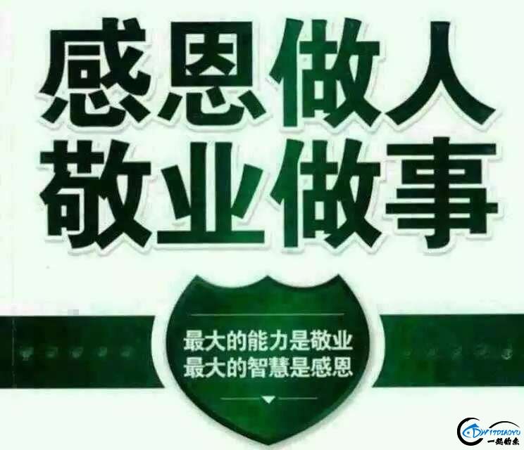 1553399349303976_513.jpg