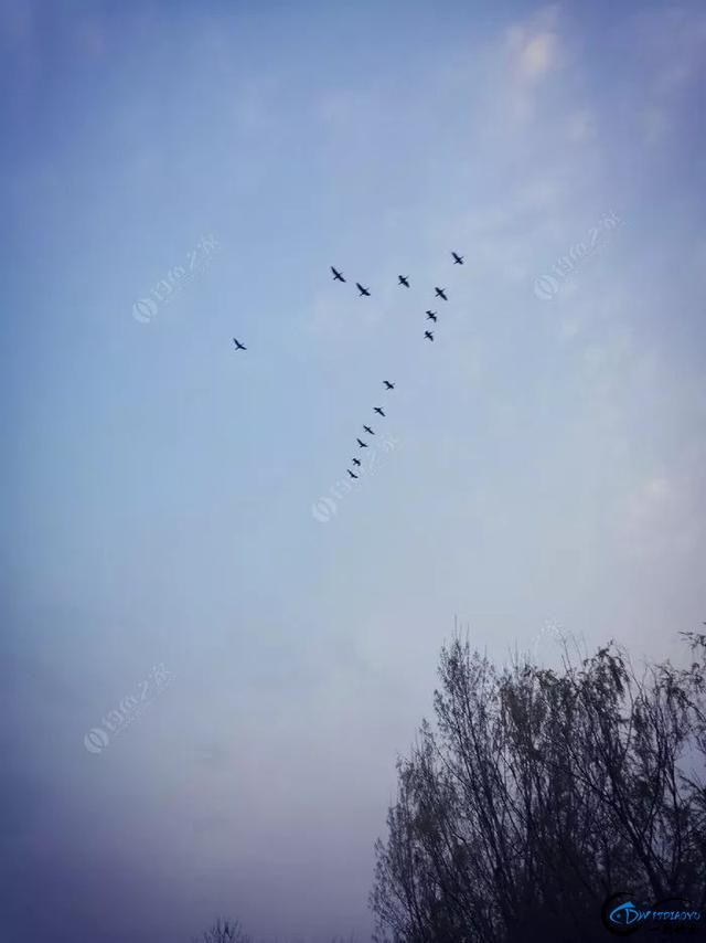 ʮأһʽˣ-5.jpg