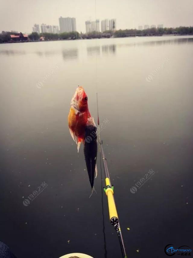 ʮأһʽˣ-9.jpg