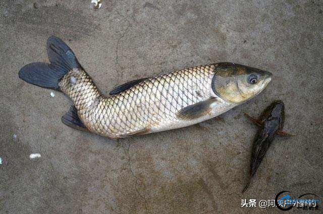 õ˲ˬĲǵ㣬-5.jpg