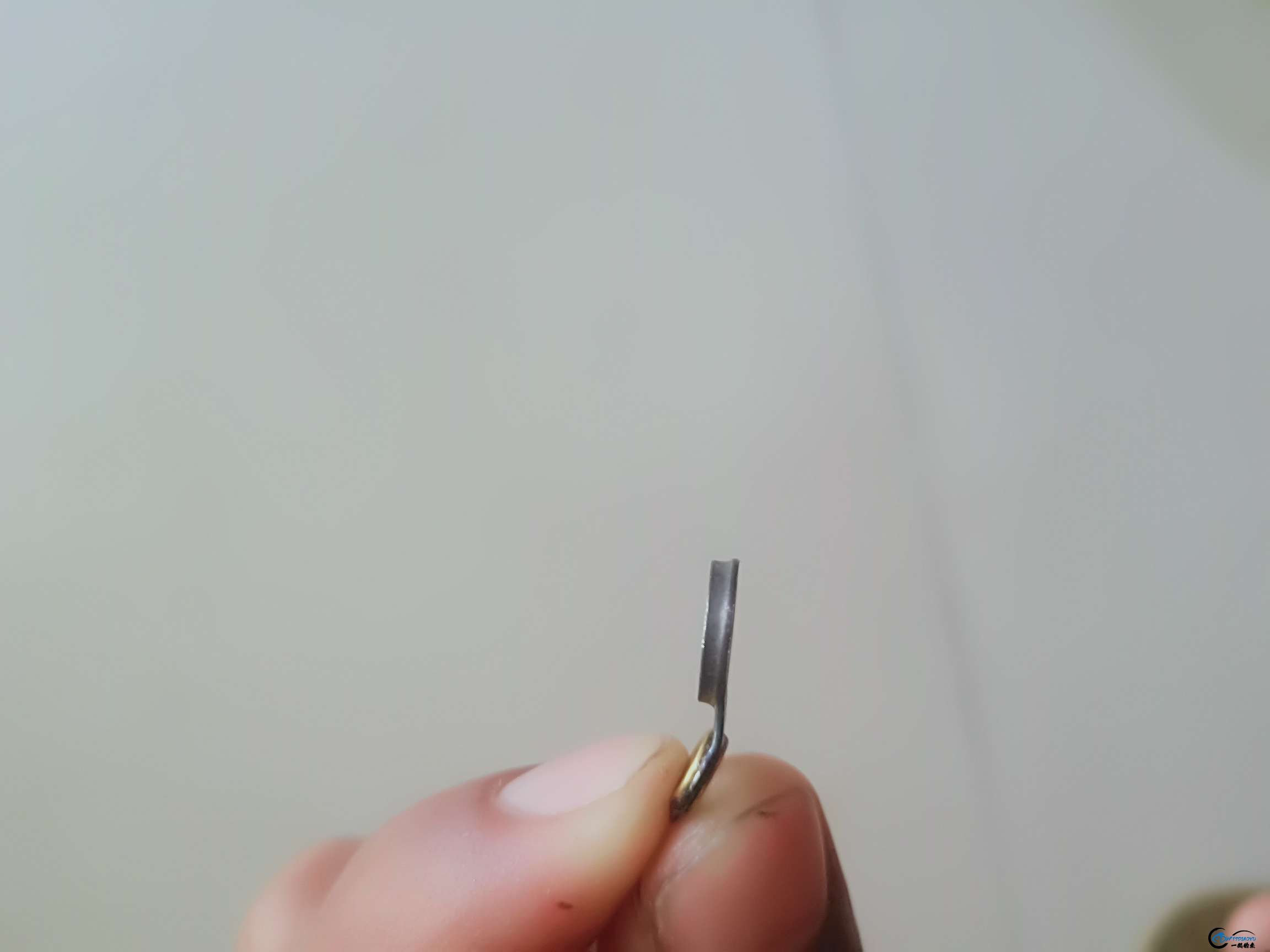 1554870716086995_90.jpg