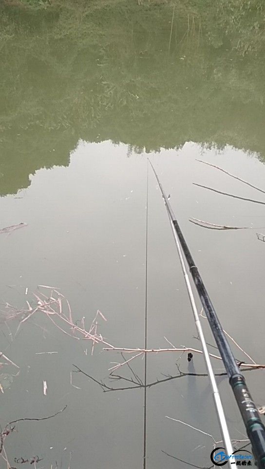 wx_camera_1548233652782.jpg