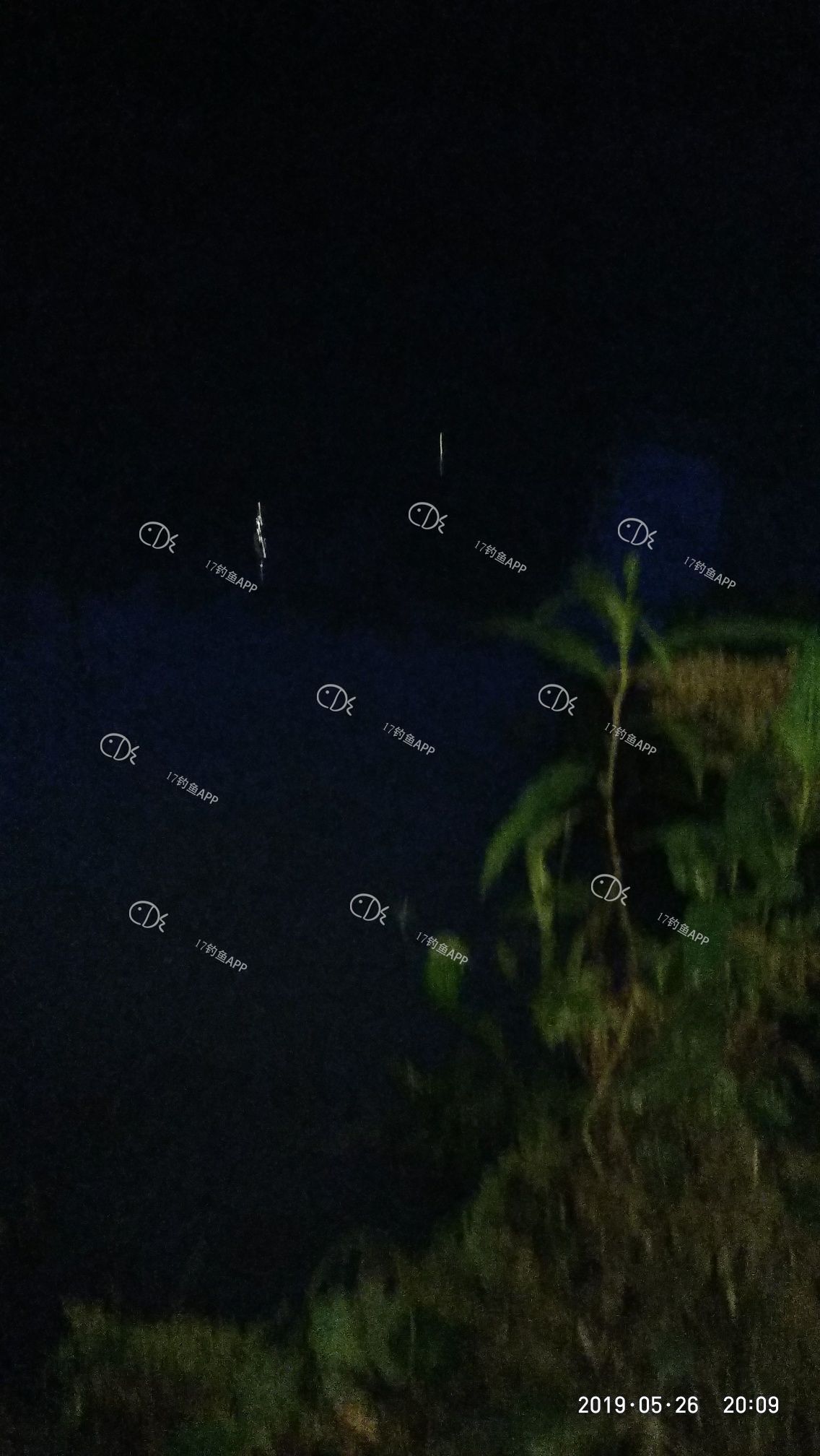 1558879184440899.jpeg