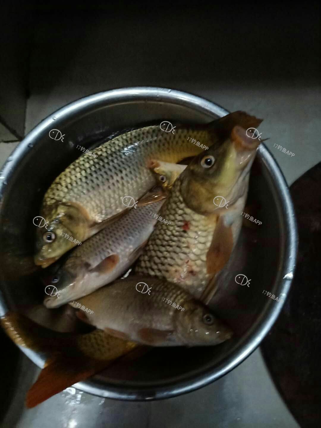 1559887853610466.jpeg