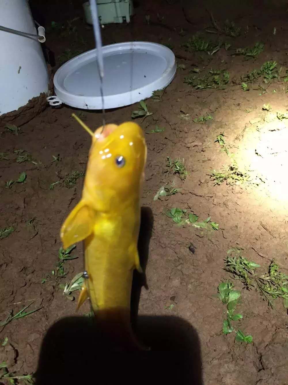 1560325708768787.jpeg