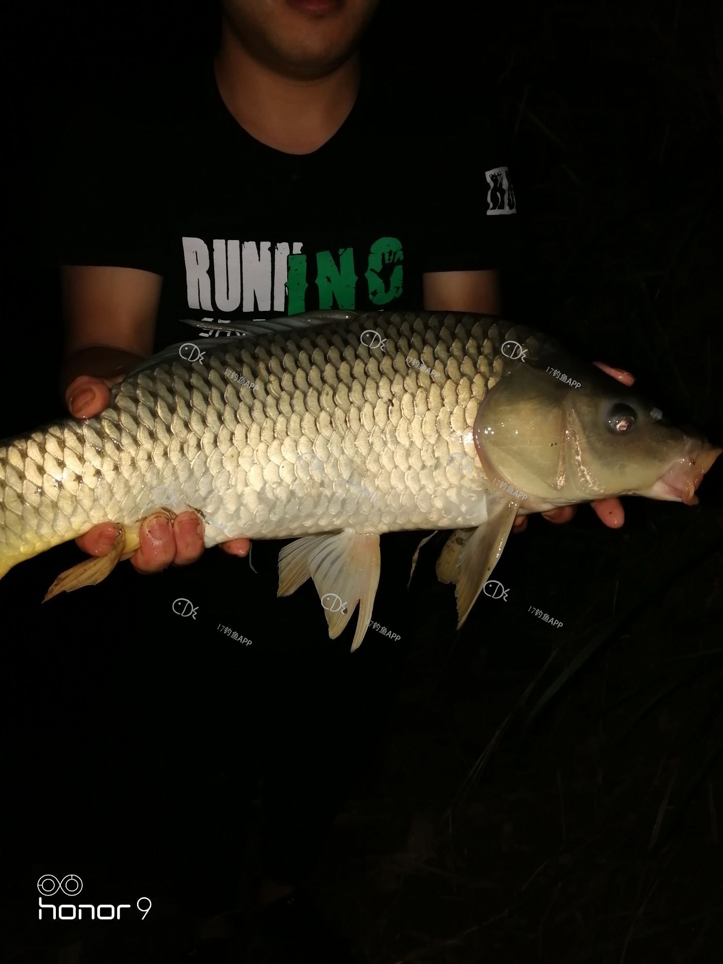 1560519546239328.jpeg