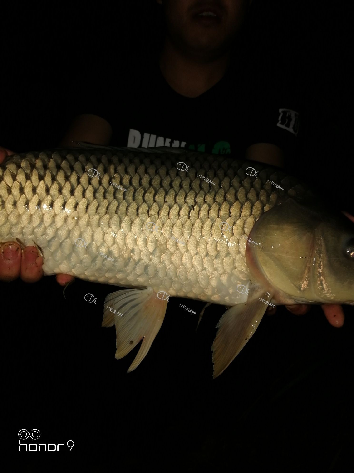 1560519546431198.jpeg
