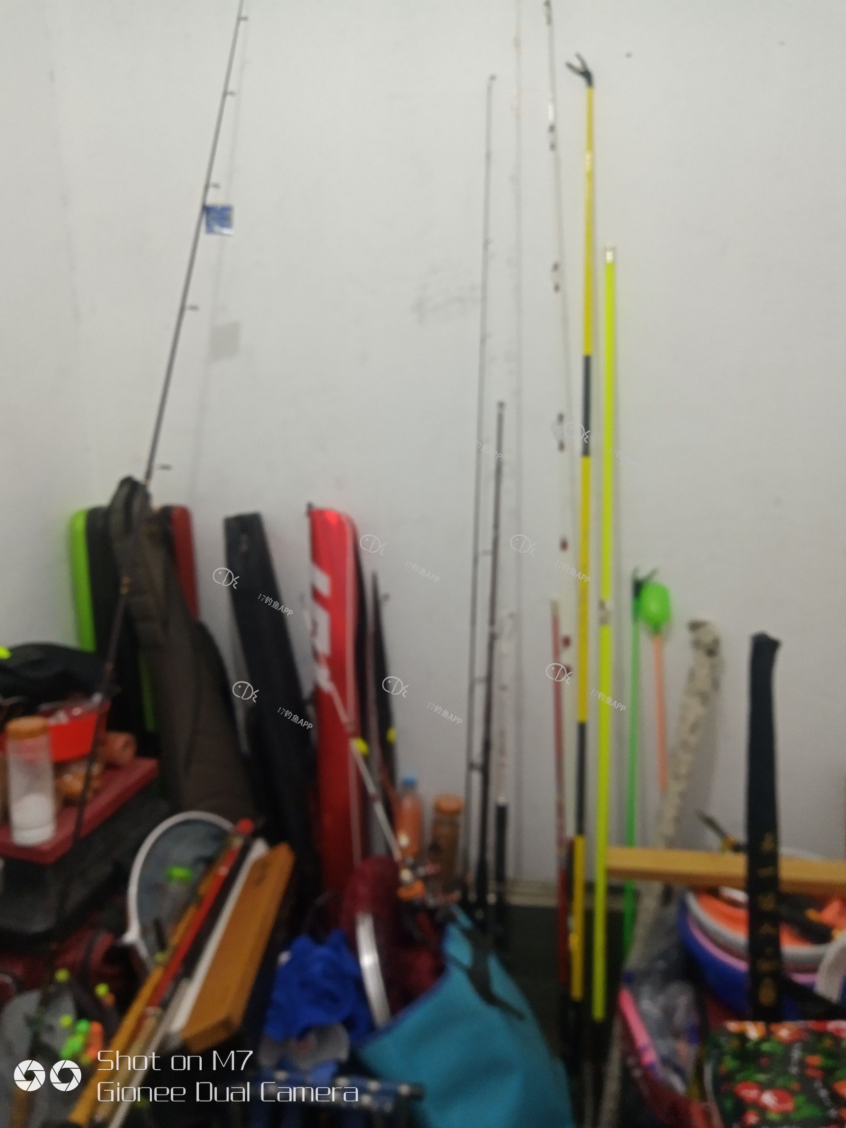 1560594387512452.jpeg
