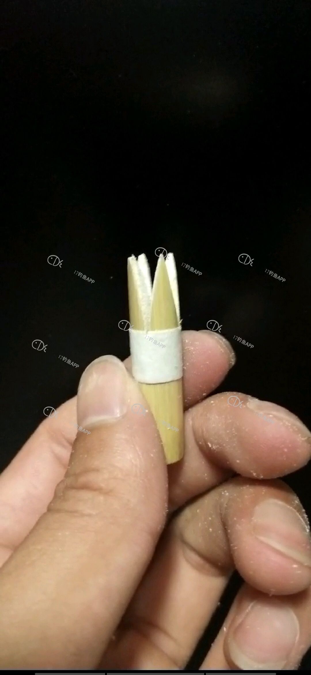 1561356643750358.jpeg