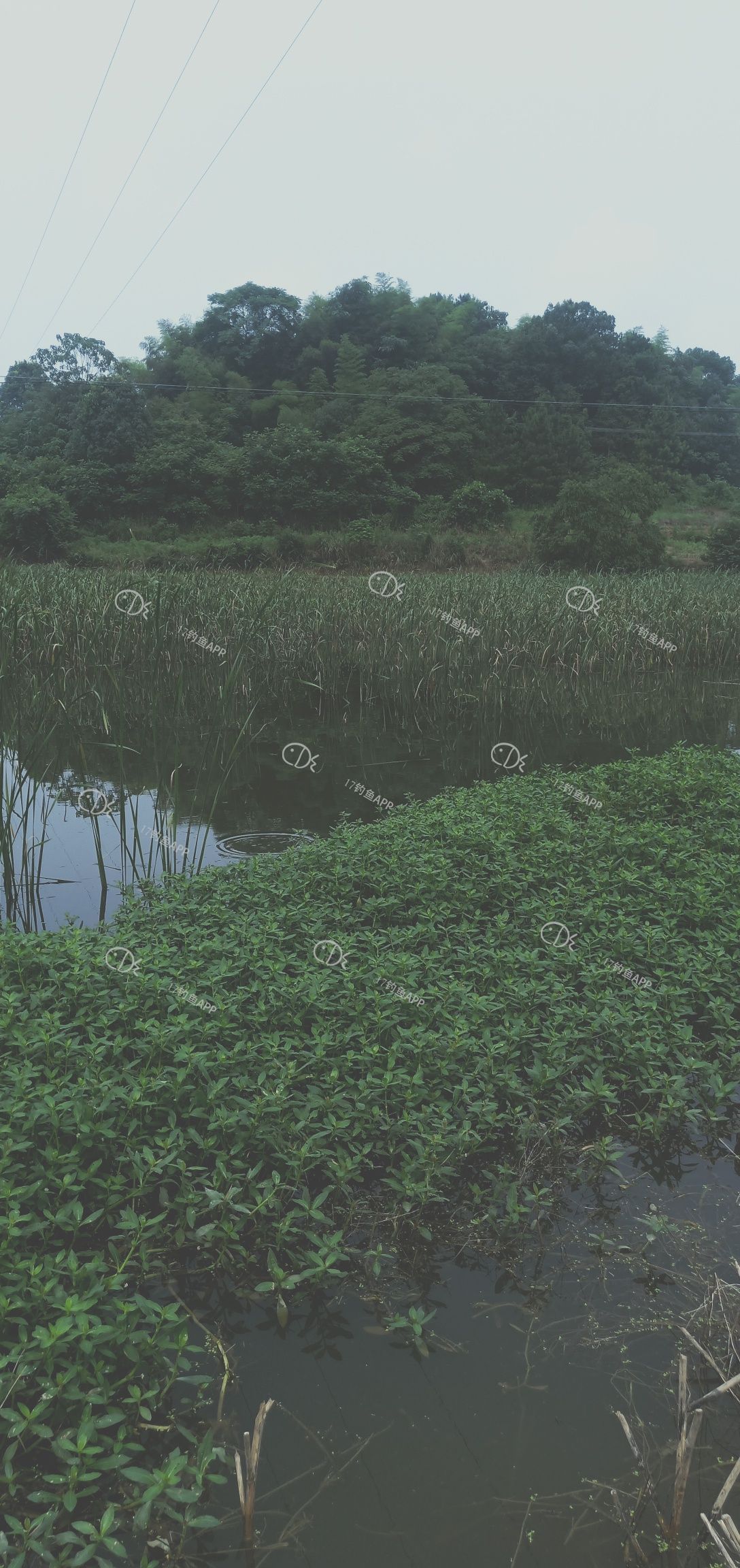 1561447183033134.jpeg