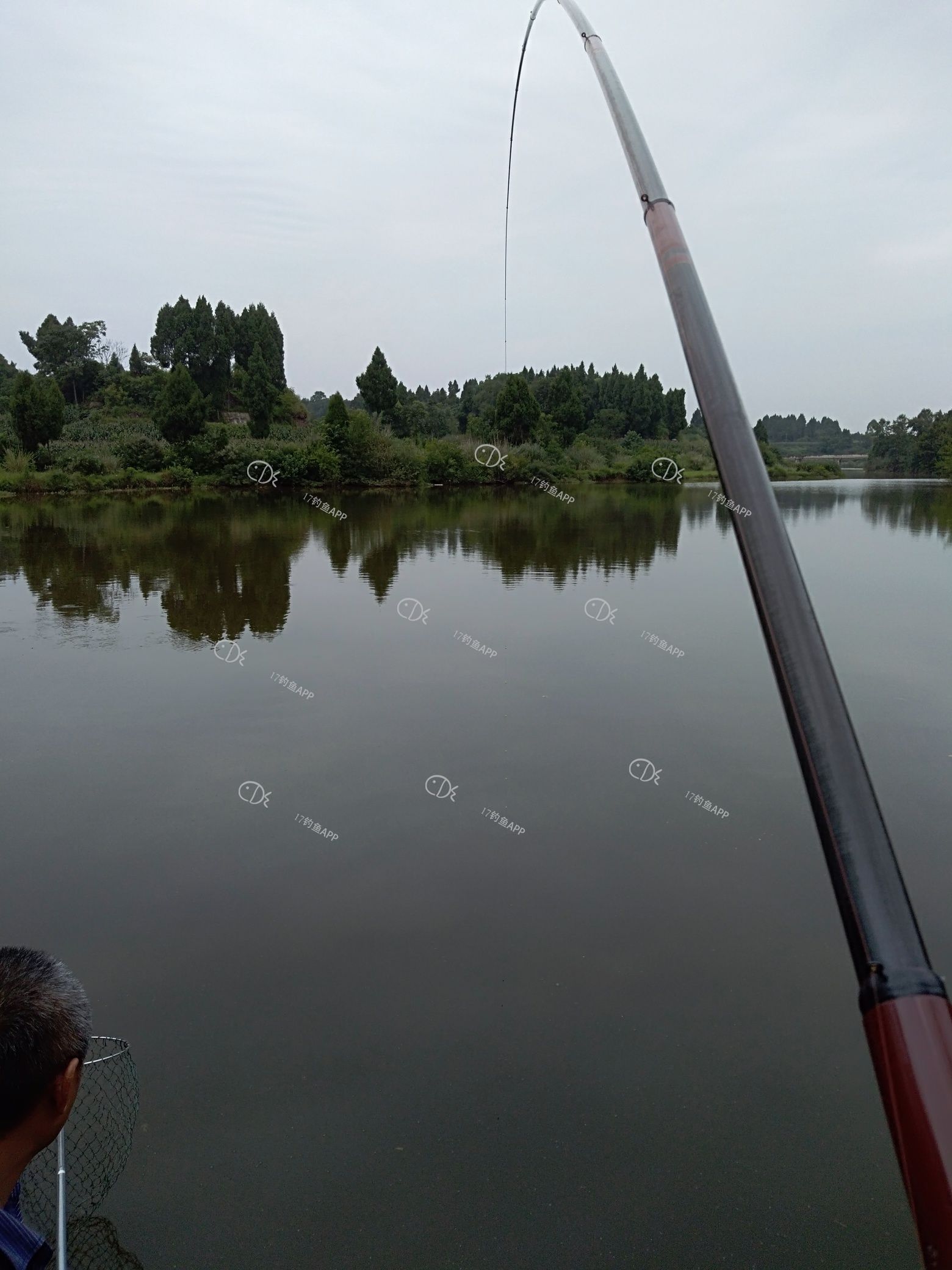 1561900639112742.jpeg