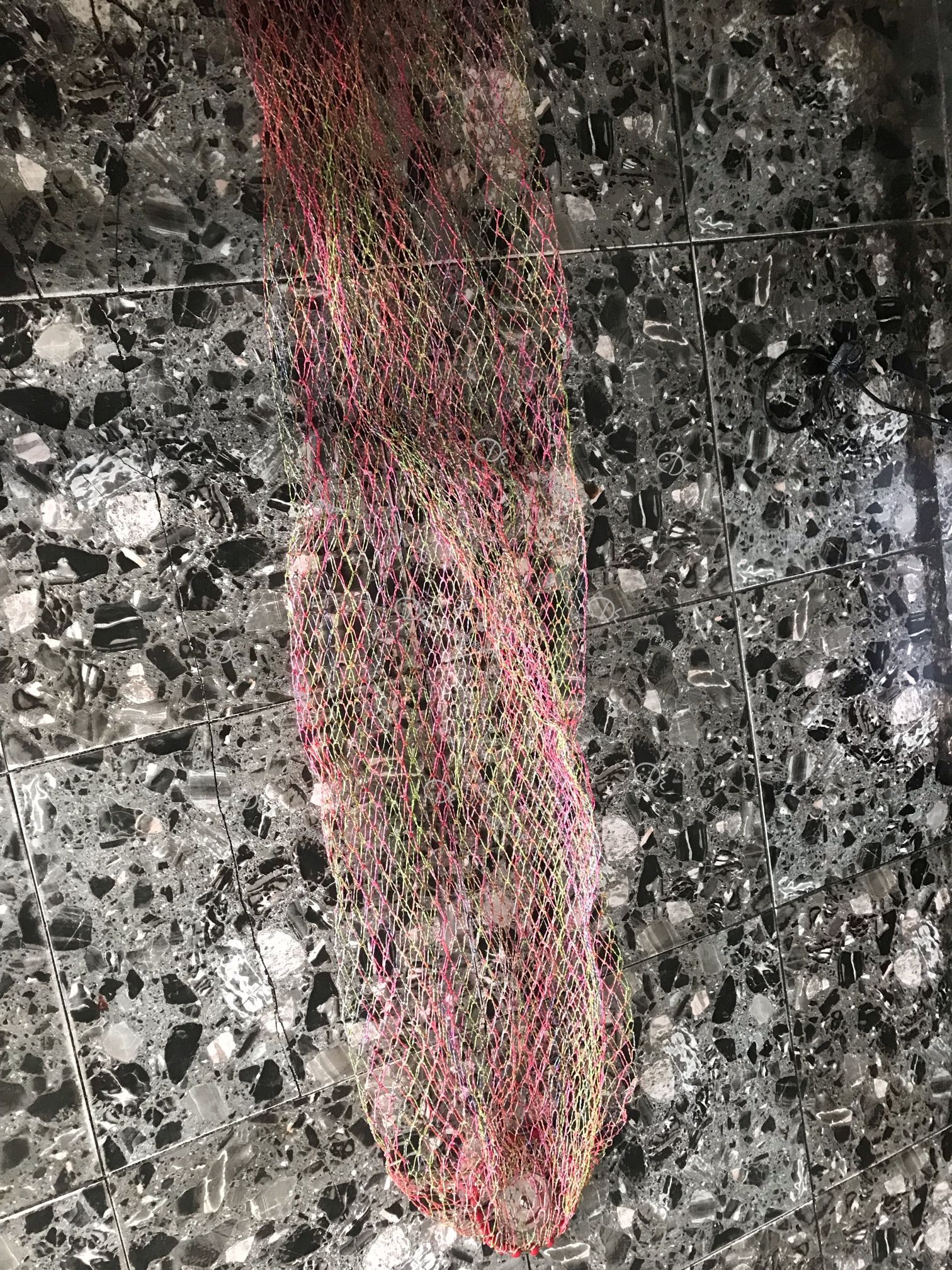1563083356468427218.jpg